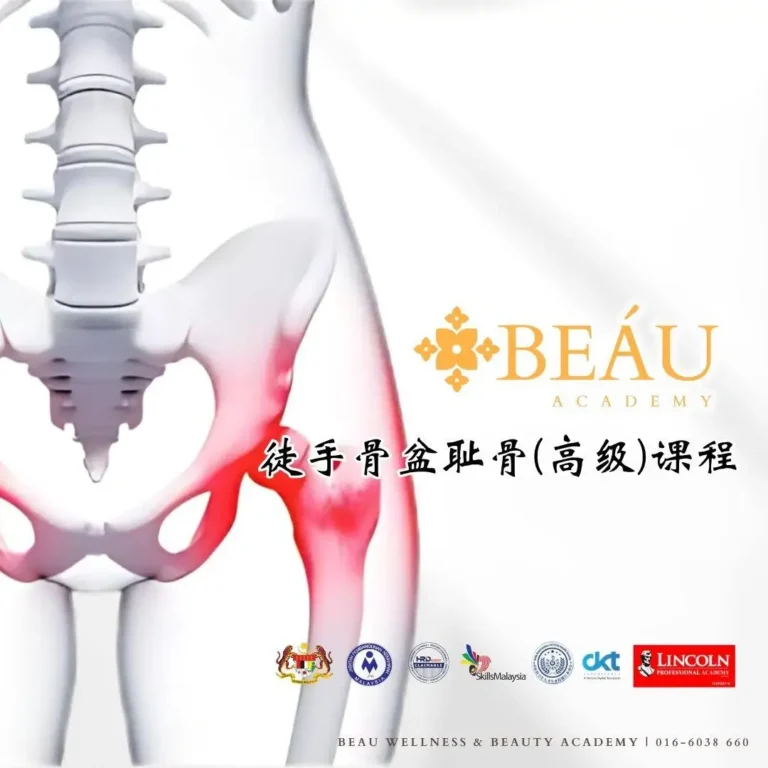 BEÁU Academy 徒手骨盆耻骨高级课程权威认证，获 JPK、HRD Corp 及 SkillsMalaysia 官方背书，助你打造高客单价产后骨盆修复项目。