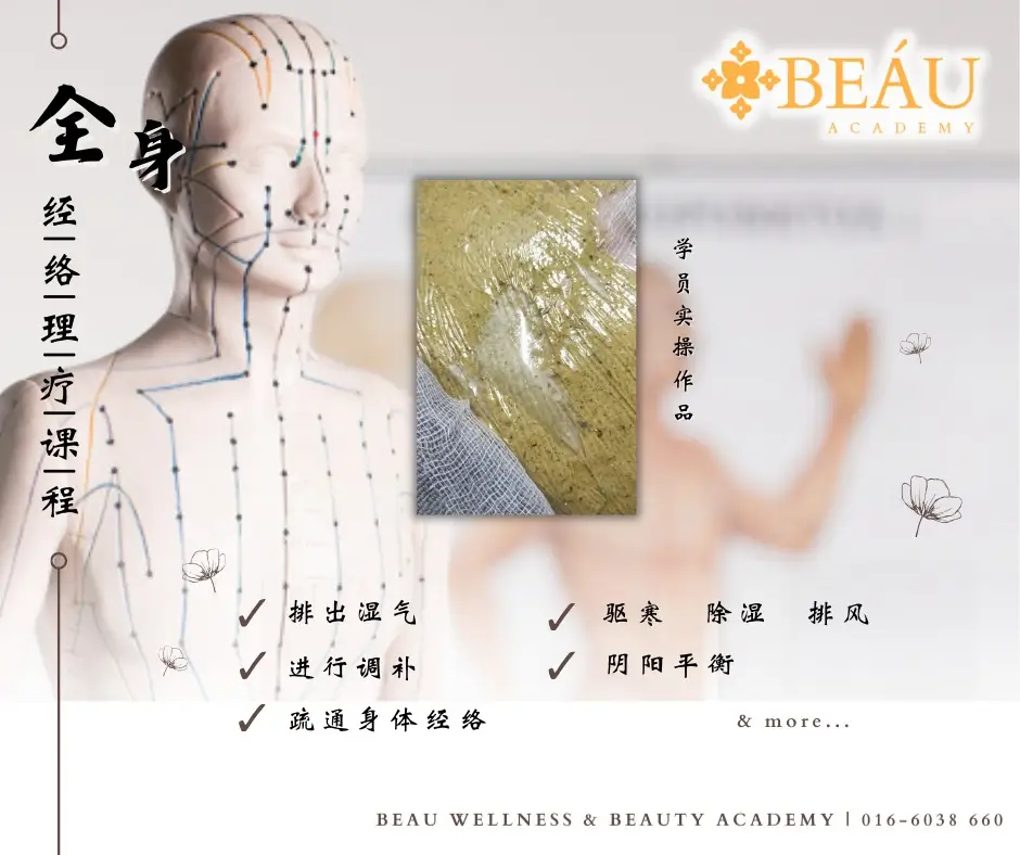 全身经络理疗课程学员实操作品：背部草药敷疗（泥灸），展示其排出湿气、疏通经络与阴阳平衡的功效。