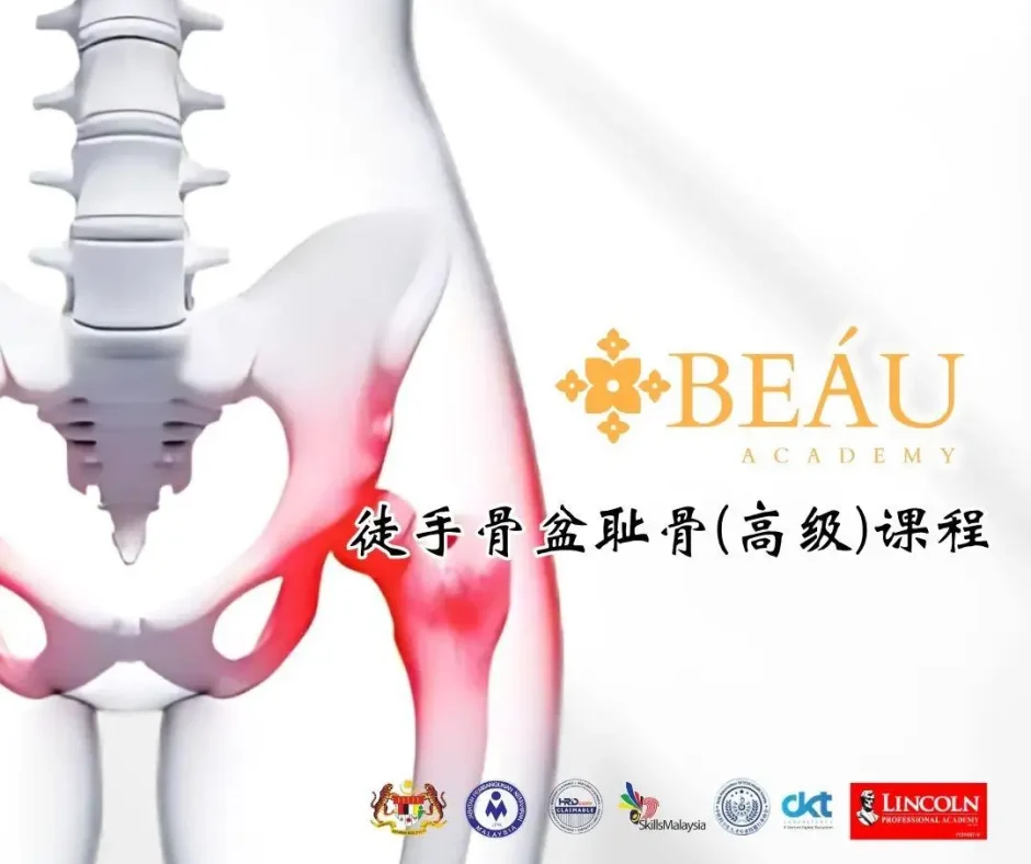 BEÁU Academy 徒手骨盆耻骨高级课程权威认证，获 JPK、HRD Corp 及 SkillsMalaysia 官方背书，助你打造高客单价产后骨盆修复项目。
